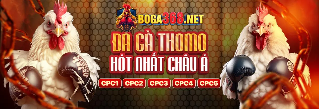 Trải nghiệm cá cược thể thao đỉnh cao trên 7789bet app ios