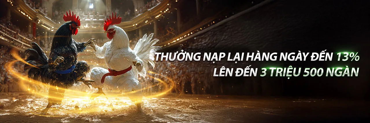 Sân vận động với nhiều người hâm mộ đang cổ vũ cho trận đấu bóng đá trên 7789bet app ios