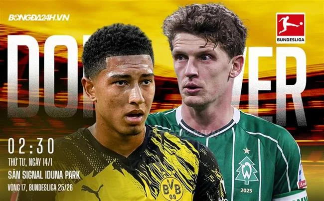Đá gà trực tuyến 7789bet App iOS